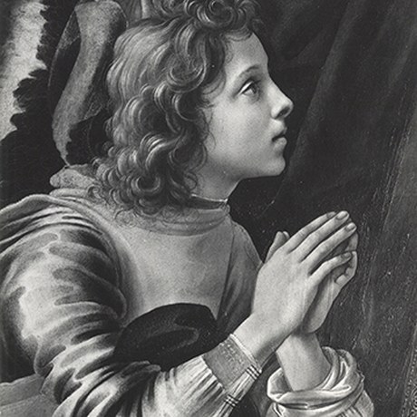 The enhancement of the Fahy Photo Archive continues thank to the contribution of Emanuela and Silvano Merlatti.  Now online 1,475 new images of works by Leonardo da Vinci, Filippino Lippi, Cosimo Rosselli, Verrocchio, Fra Bartolomeo and Michelangelo