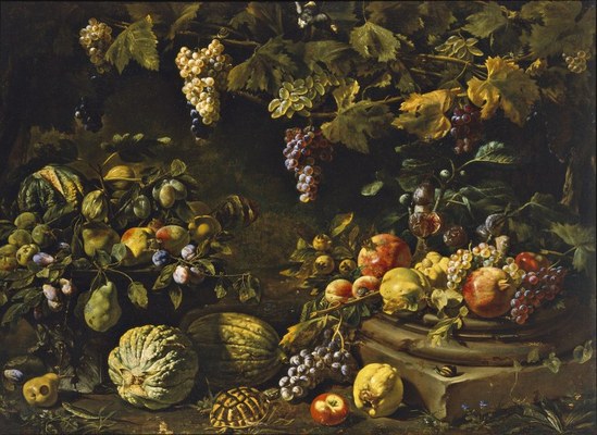 Attribuito a Michelangelo del Campidoglio (Roma 1610-1670 ca.), Tralci d'uva e frutta