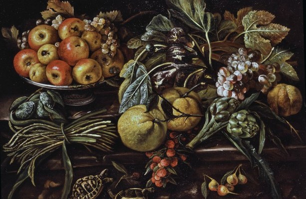 Bottega dei Verrocchi (sec. XVII), Frutta, ortaggi e tartarughe
