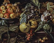 Bottega dei Verrocchi (sec. XVII), Frutta, ortaggi e tartarughe