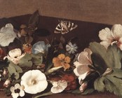Paolo Cattamara (Napoli ?-1668), Fiori, lumaca e farfalla,