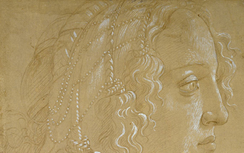 botticelli drowings 350x220