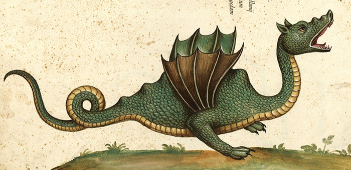 drago aldrovandi 780x380