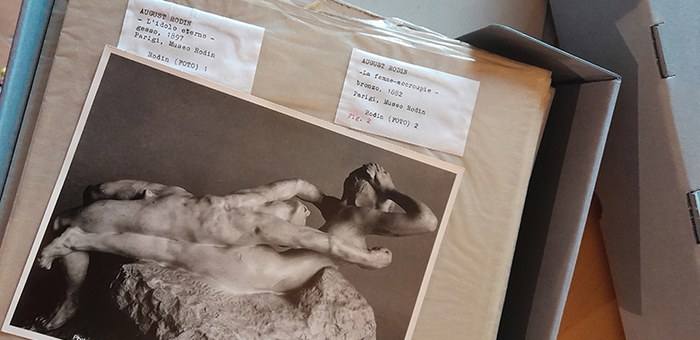 silvana rodin 780x380