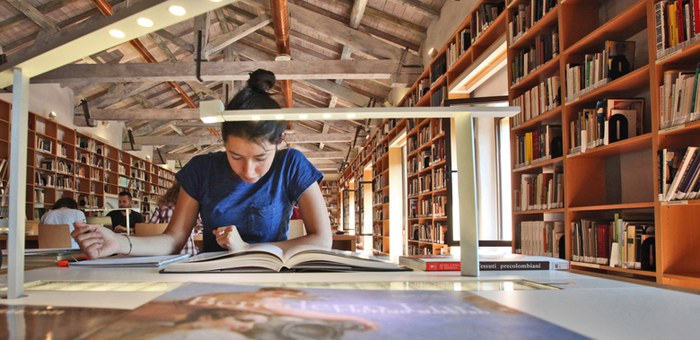 Utente della biblioteca