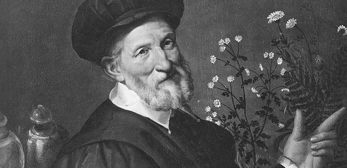 Passarotti Zeri 780x380