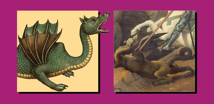 testata aldrovandi draghi