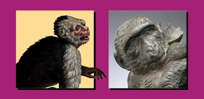 testata aldrovandi scimmie