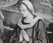 Marco Palmezzano, Madonna, particolare della Natività di Gesù, 1530-1537, Milano, Pinacoteca Nazionale di Brera